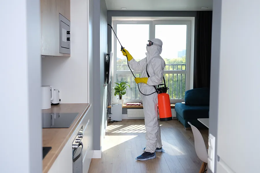 Mold Remediation Services