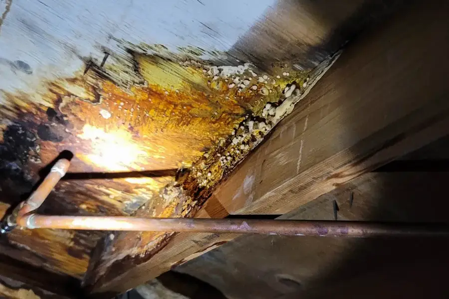 How Smoke Damage Affects Your Home And What To Do About It Temple City, CA